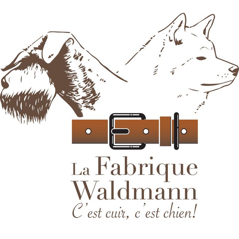 Les Schnauzers nains poivre et sel De La Forêt Enchantée